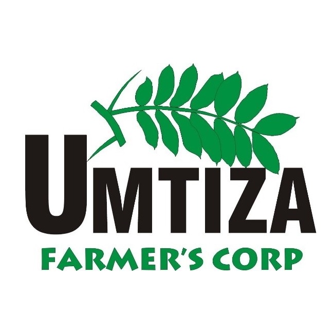 Umtiza