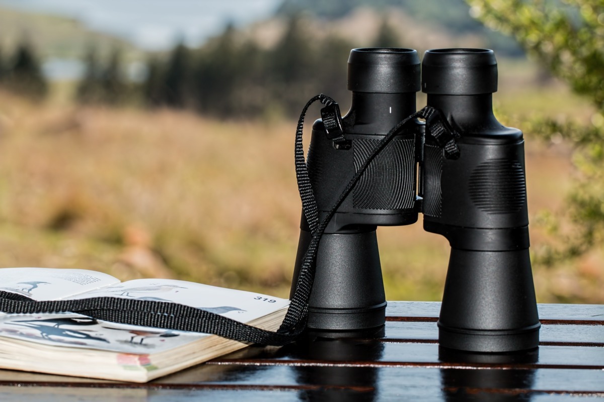 Binoculars 995779 1920
