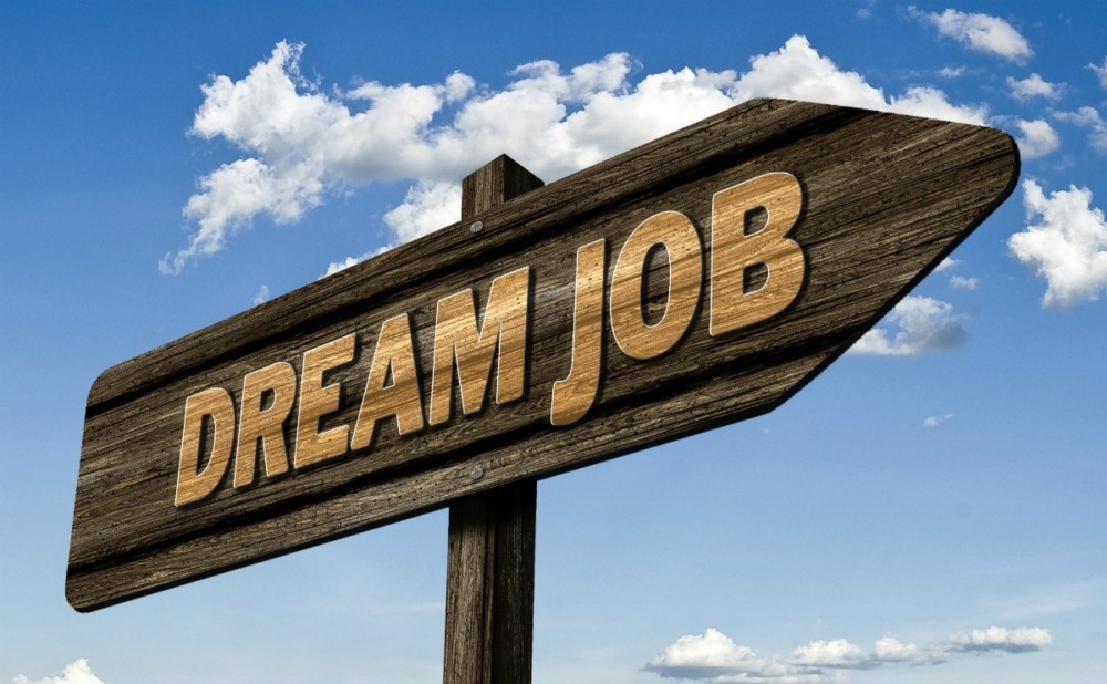 Get a dream job