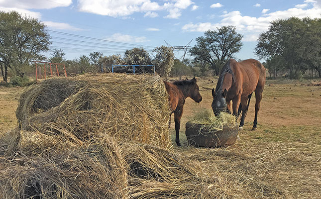 hay bales
