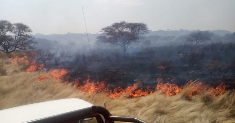 veld fire 768x401