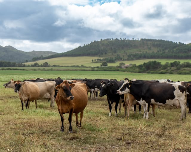 Droëmateriaal Inname