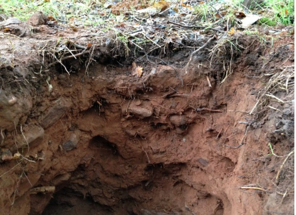 specialised soil testing